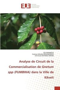 bokomslag Analyse de Circuit de la Commercialisation de Gnetum spp (FUMBWA) dans la Ville de Kikwit