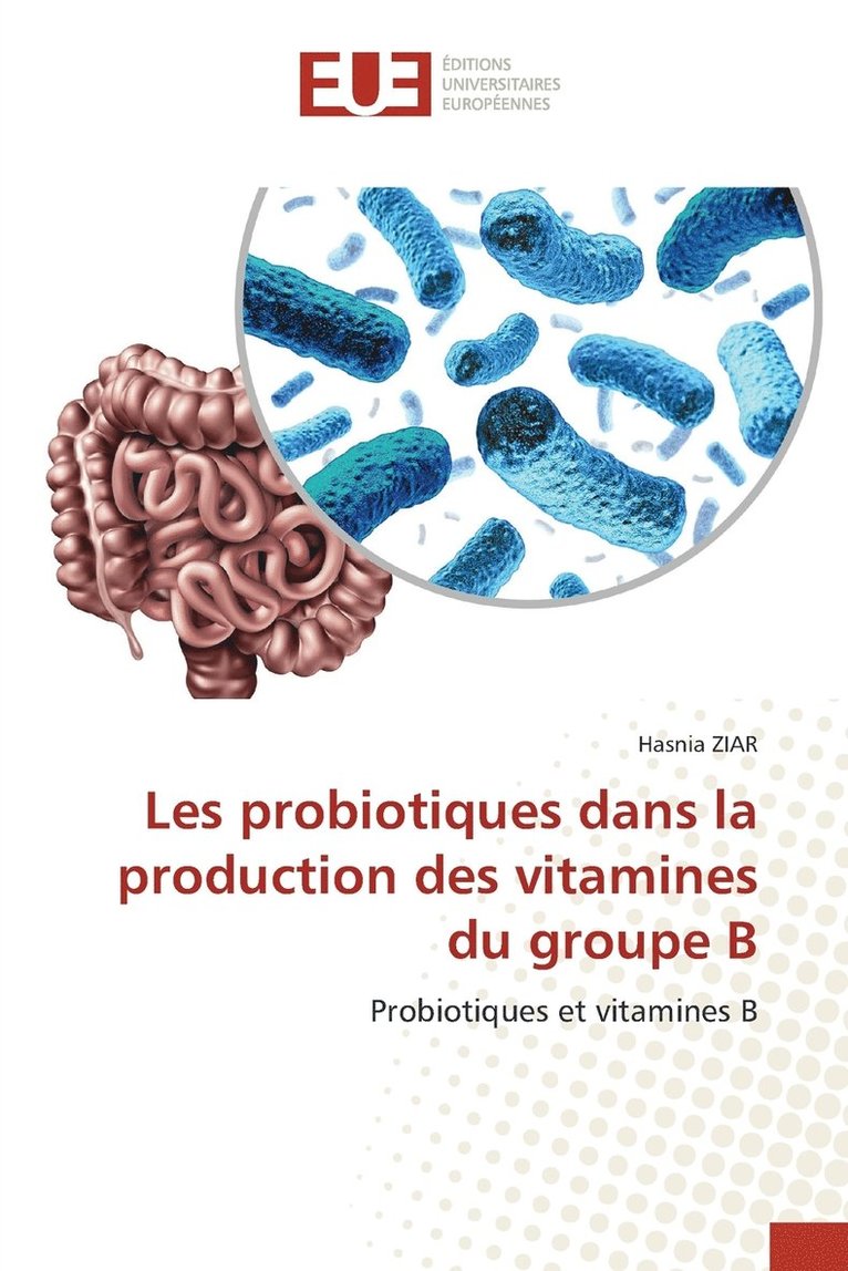 Les probiotiques dans la production des vitamines du groupe B 1