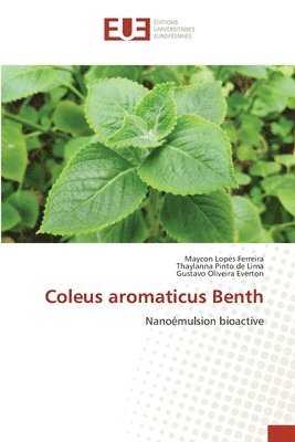 Coleus aromaticus Benth 1