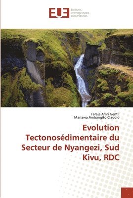Evolution Tectonosdimentaire du Secteur de Nyangezi, Sud Kivu, RDC 1