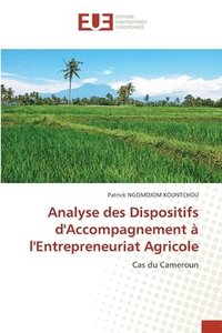 bokomslag Analyse des Dispositifs d'Accompagnement  l'Entrepreneuriat Agricole