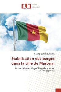 bokomslag Stabilisation des berges dans la ville de Maroua