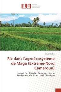 bokomslag Riz dans l'agrocosystme de Maga (Extrme-Nord Cameroun)