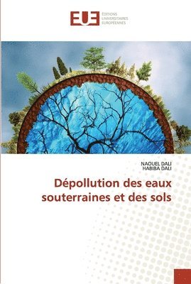 bokomslag Dpollution des eaux souterraines et des sols