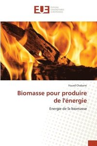 bokomslag Biomasse pour produire de l'nergie