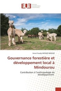 bokomslag Gouvernance forestire et dveloppement local  Mindourou