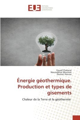 nergie gothermique. Production et types de gisements 1