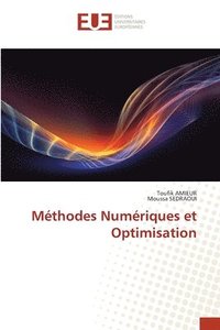 bokomslag Mthodes Numriques et Optimisation