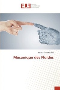 bokomslag Mcanique des Fluides