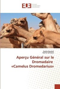 bokomslag Aperu Gnral sur le Dromadaire Camelus Dromedarius