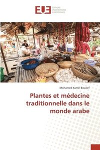 bokomslag Plantes et médecine traditionnelle dans le monde arabe