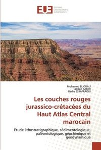 bokomslag Les couches rouges jurassico-crtaces du Haut Atlas Central marocain