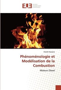 bokomslag Phnomnologie et Modlisation de la Combustion