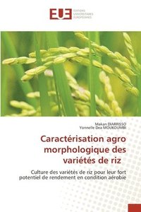 bokomslag Caractrisation agro morphologique des varits de riz