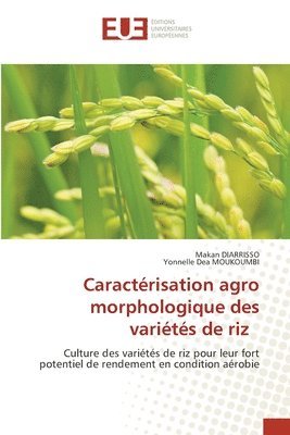 Caractrisation agro morphologique des varits de riz 1