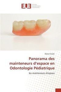 bokomslag Panorama des mainteneurs d'espace en Odontologie Pdiatrique