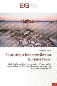bokomslag Eaux uses industrielles au Burkina Faso