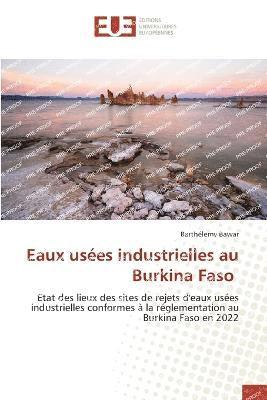 Eaux uses industrielles au Burkina Faso 1