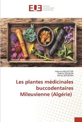 bokomslag Les plantes mdicinales buccodentaires Mileuvienne (Algrie)