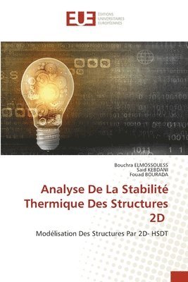 bokomslag Analyse De La Stabilit Thermique Des Structures 2D