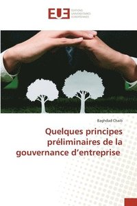 bokomslag Quelques principes préliminaires de la gouvernance d'entreprise