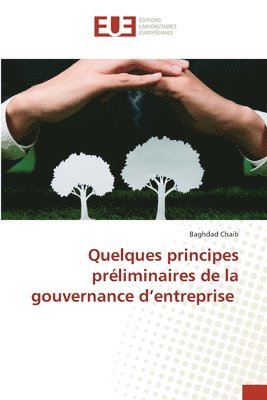 bokomslag Quelques principes préliminaires de la gouvernance d'entreprise