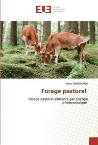 bokomslag Forage pastoral