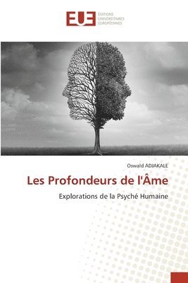 bokomslag Les Profondeurs de l'me