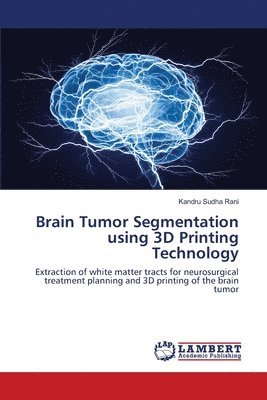 Brain Tumor Segmentation using 3D Printing Technology 1