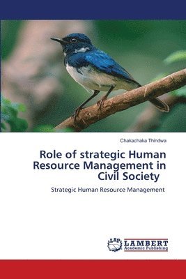 Chakachaka Thindwa - Role of strategic Human Resource Management in Civil Society, Häftad