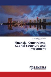 bokomslag Financial Constraints, Capital Structure and Investment