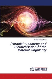 bokomslag (Toroidal) Geometry and Hierarchisation of the Material Singularity
