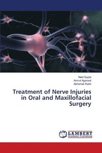 bokomslag Treatment of Nerve Injuries in Oral and Maxillofacial Surgery
