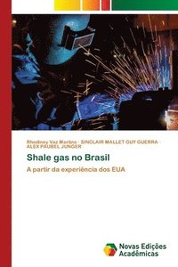 bokomslag Shale gas no Brasil