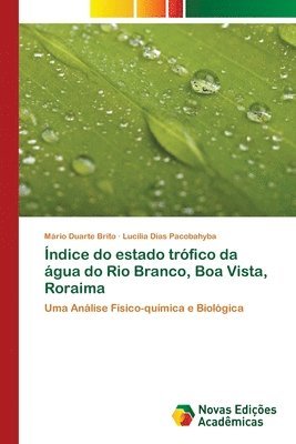 bokomslag ndice do estado trfico da gua do Rio Branco, Boa Vista, Roraima