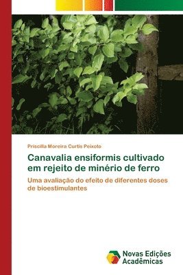 bokomslag Canavalia ensiformis cultivado em rejeito de minrio de ferro