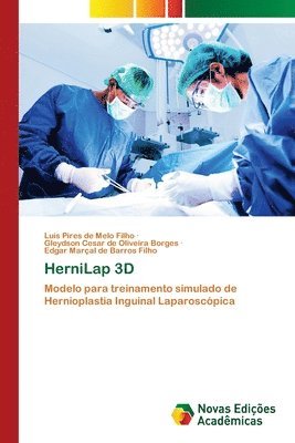 HerniLap 3D 1