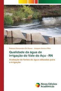 bokomslag Qualidade da gua de irrigao do Vale do Au - RN