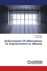 bokomslag Enforcement Of Alternatives To Imprisonment In Albania