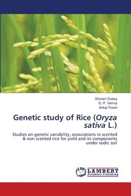 bokomslag Genetic study of Rice (Oryza sativa L.)