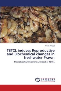 bokomslag TBTCL induces Reproductive and Biochemical changes in freshwater Prawn