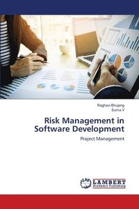 bokomslag Risk Management in Software Development