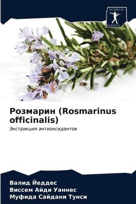 &#1056;&#1086;&#1079;&#1084;&#1072;&#1088;&#1080;&#1085; (Rosmarinus officinalis) 1