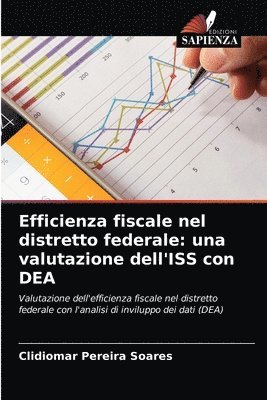 bokomslag Efficienza fiscale nel distretto federale