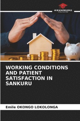 bokomslag Working Conditions and Patient Satisfaction in Sankuru