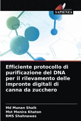 Efficiente protocollo di purificazione del DNA per il rilevamento delle impronte digitali di canna da zucchero 1