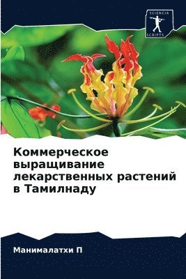 bokomslag &#1050;&#1086;&#1084;&#1084;&#1077;&#1088;&#1095;&#1077;&#1089;&#1082;&#1086;&#1077; &#1074;&#1099;&#1088;&#1072;&#1097;&#1080;&#1074;&#1072;&#1085;&#1080;&#1077;