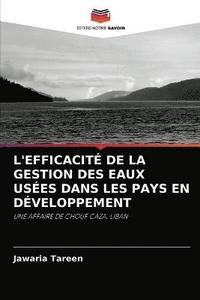 bokomslag L'Efficacite de la Gestion Des Eaux Usees Dans Les Pays En Developpement