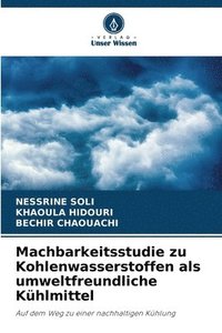 bokomslag Machbarkeitsstudie zu Kohlenwasserstoffen als umweltfreundliche Kühlmittel