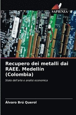 Recupero dei metalli dai RAEE. Medellin (Colombia) 1